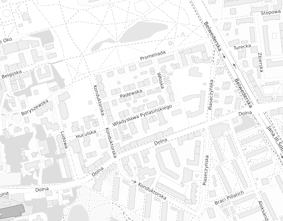 Mapa z adresem organizacji