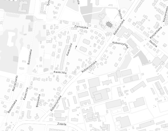 Mapa z adresem organizacji