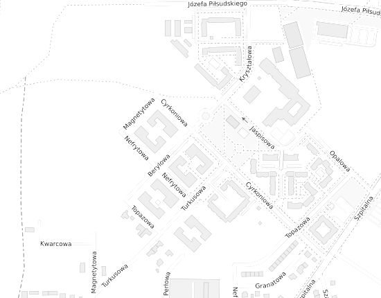 Mapa z adresem organizacji
