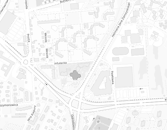 Mapa z adresem organizacji