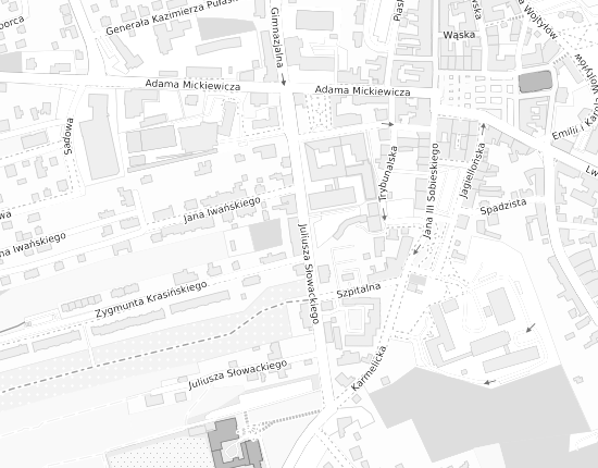 Mapa z adresem organizacji