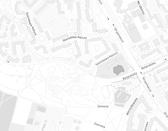 Mapa z adresem organizacji
