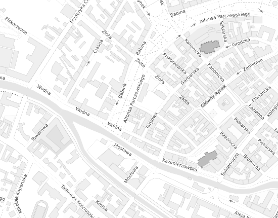 Mapa z adresem organizacji
