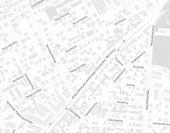 Mapa z adresem organizacji