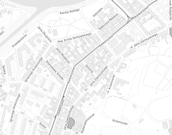Mapa z adresem organizacji