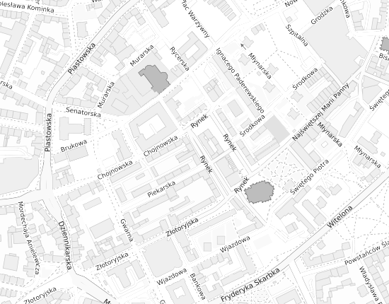 Mapa z adresem organizacji