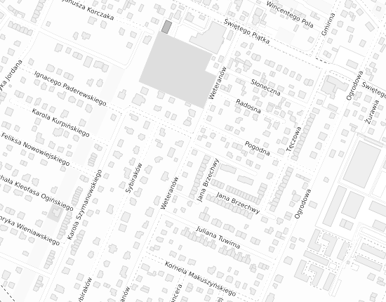 Mapa z adresem organizacji