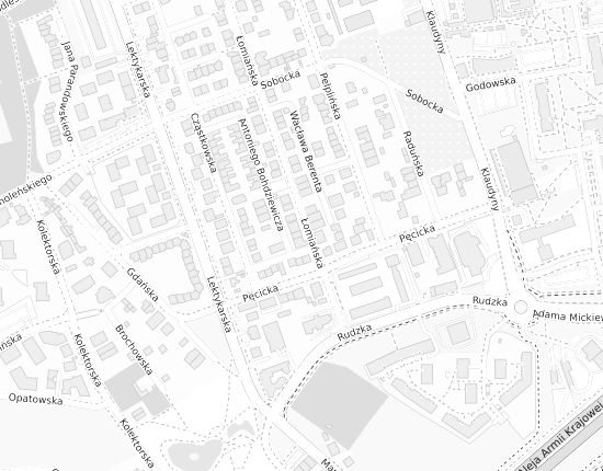 Mapa z adresem organizacji