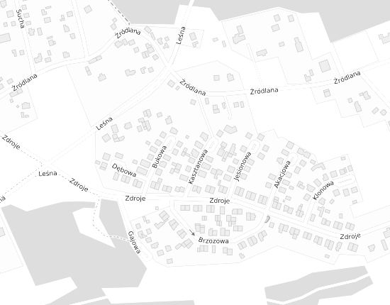 Mapa z adresem organizacji