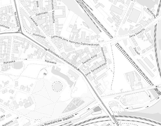 Mapa z adresem organizacji