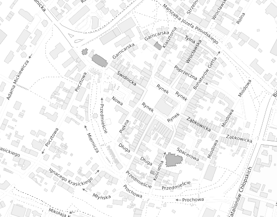 Mapa z adresem organizacji