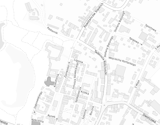 Mapa z adresem organizacji