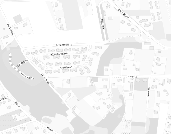 Mapa z adresem organizacji
