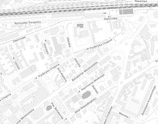 Mapa z adresem organizacji