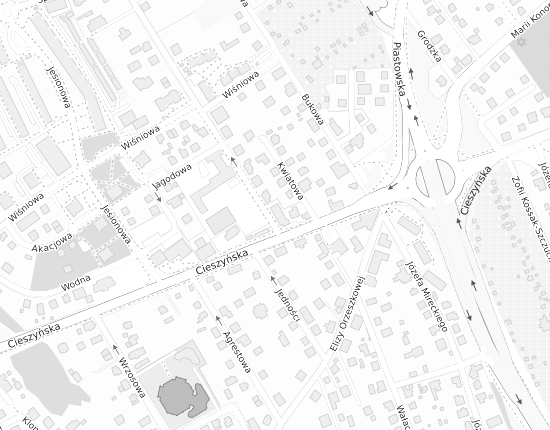Mapa z adresem organizacji