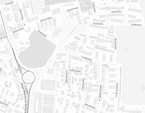 Mapa z adresem organizacji