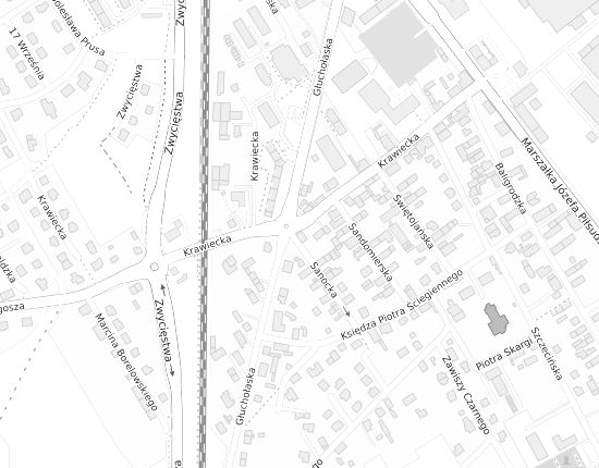 Mapa z adresem organizacji
