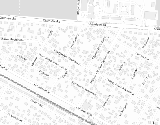 Mapa z adresem organizacji