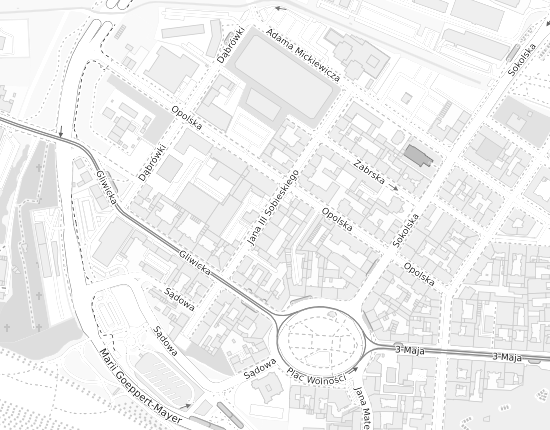 Mapa z adresem organizacji