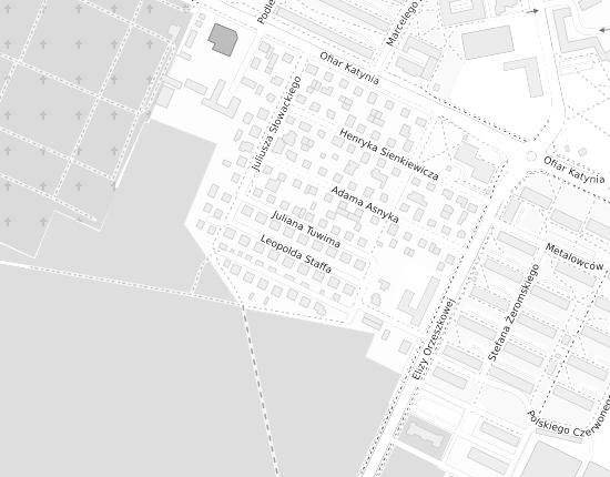 Mapa z adresem organizacji