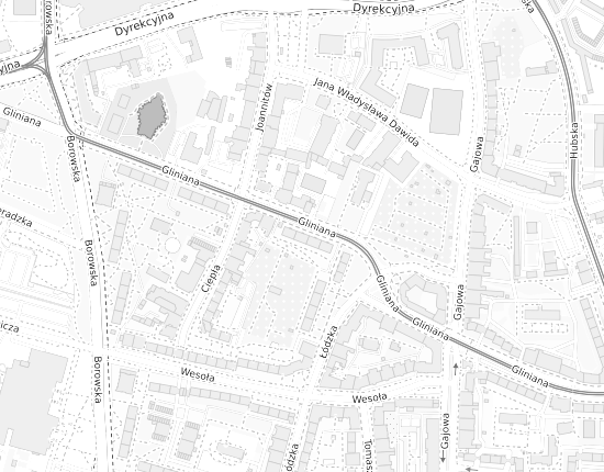 Mapa z adresem organizacji
