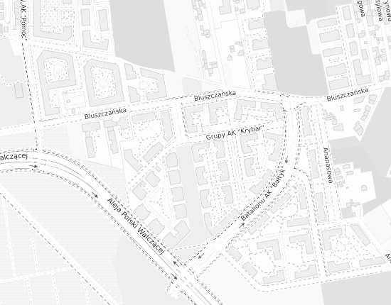 Mapa z adresem organizacji