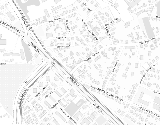 Mapa z adresem organizacji