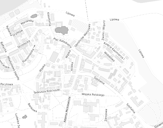 Mapa z adresem organizacji