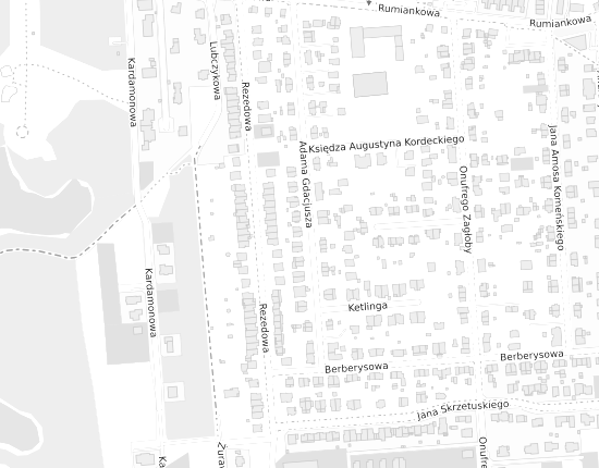 Mapa z adresem organizacji