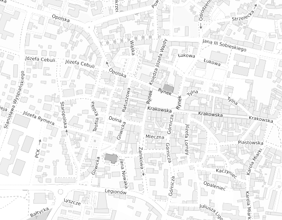 Mapa z adresem organizacji