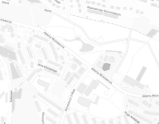 Mapa z adresem organizacji