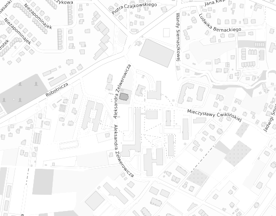 Mapa z adresem organizacji