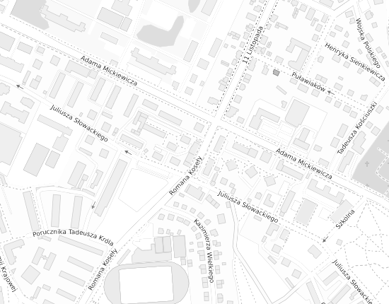 Mapa z adresem organizacji