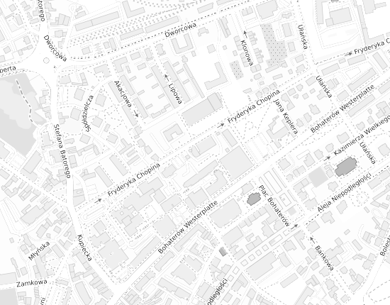 Mapa z adresem organizacji