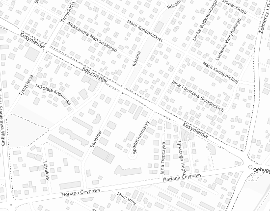 Mapa z adresem organizacji