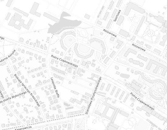 Mapa z adresem organizacji