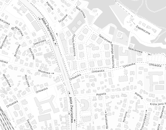 Mapa z adresem organizacji