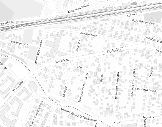 Mapa z adresem organizacji