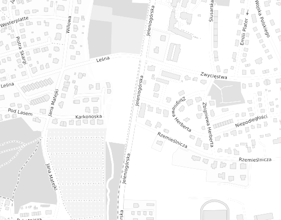 Mapa z adresem organizacji