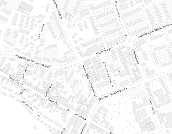 Mapa z adresem organizacji