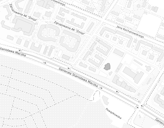 Mapa z adresem organizacji