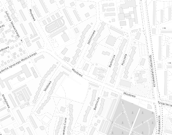 Mapa z adresem organizacji