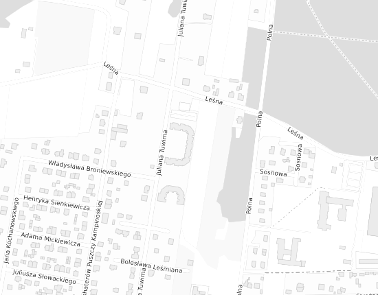 Mapa z adresem organizacji