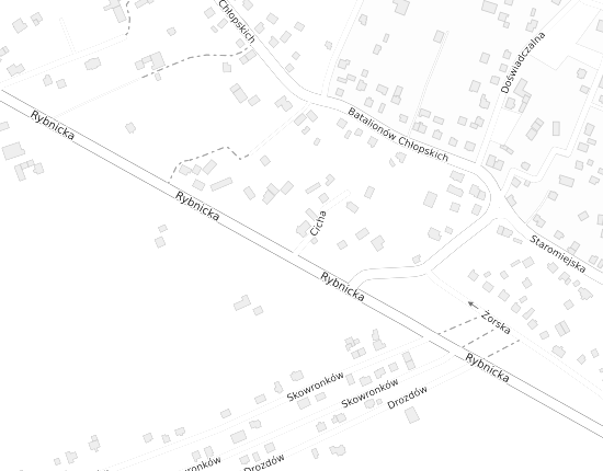 Mapa z adresem organizacji