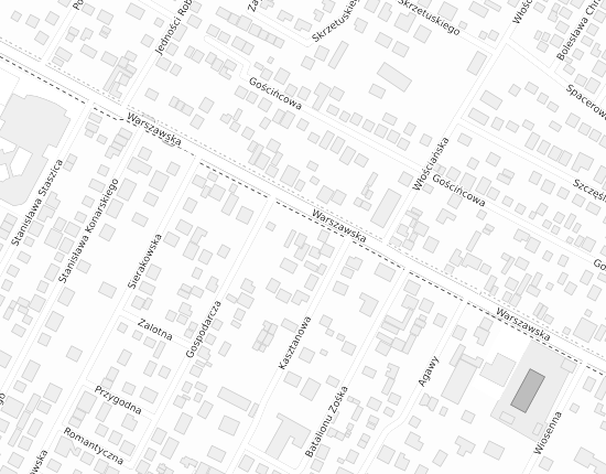 Mapa z adresem organizacji