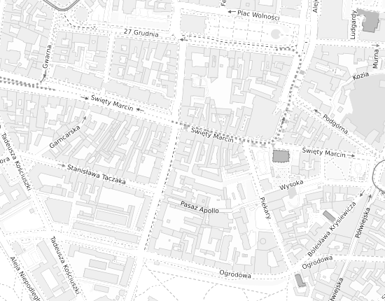 Mapa z adresem organizacji