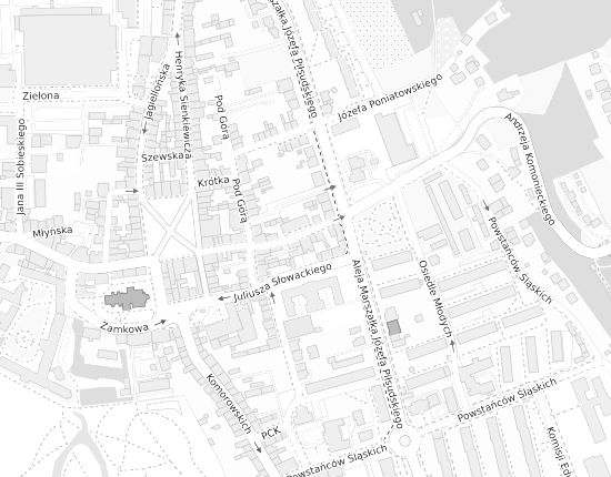Mapa z adresem organizacji