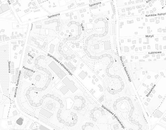 Mapa z adresem organizacji