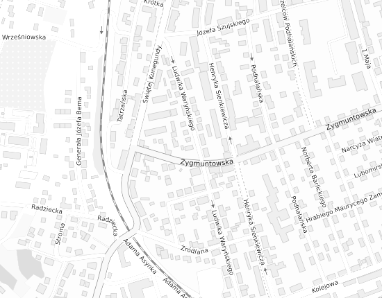 Mapa z adresem organizacji