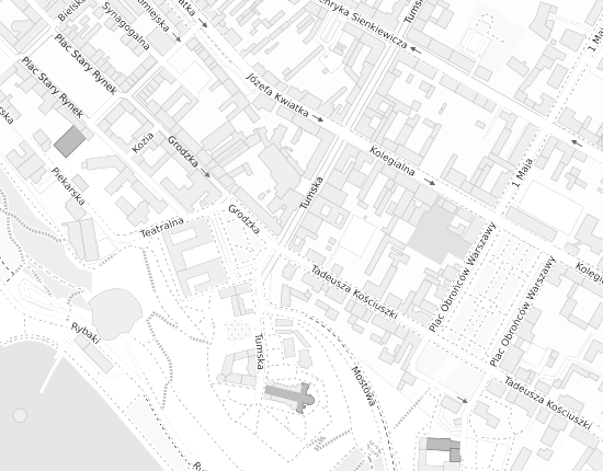 Mapa z adresem organizacji